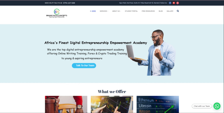 Proworks SEO portfolio: Brains With Concepts