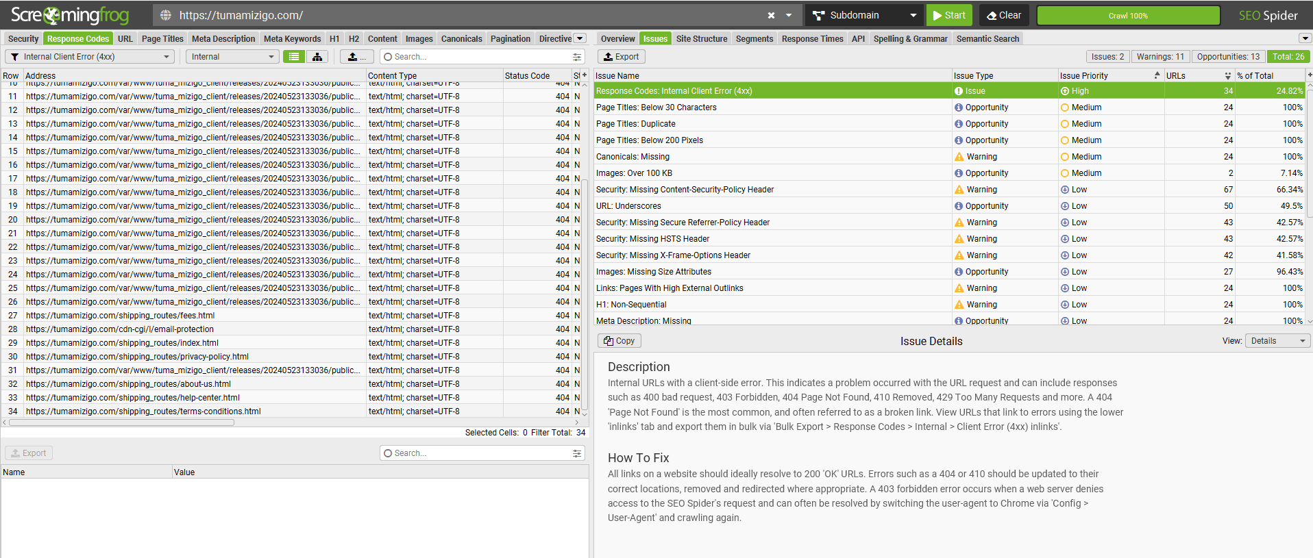 SEO audit